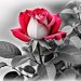 Visual Images Art's avatar