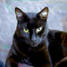 Jopaz's avatar