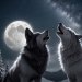 Wolf lover 's avatar