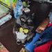 Nurlan S's avatar