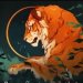 Shadow Tiger's avatar
