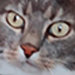 Nervous Cat's avatar