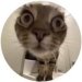 Phyl Mabawls's avatar