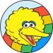 Big Bird's avatar