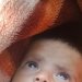 shafqat 's avatar