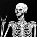 MW Skull Reaper's avatar