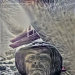 Ulrich Schramme's avatar