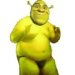 BigDaddy Shrekus's avatar