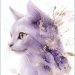  Audrey 's avatar