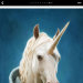 unicorn_and_galaxy's avatar