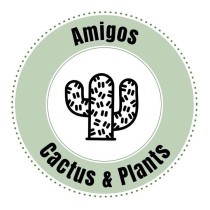 amigoscactusandplants 's avatar