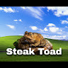 Steak Toad's avatar