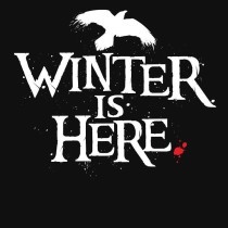 Amir Gholami's avatar