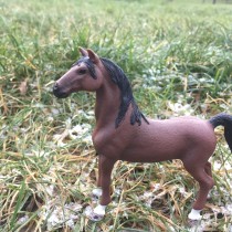 Hufflepuff Horse's avatar
