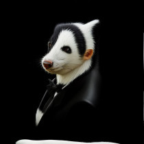 Intel Skunk's avatar