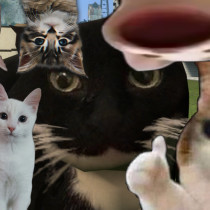 Человек's avatar