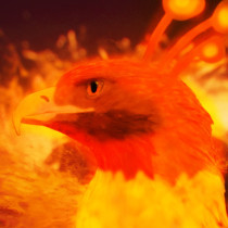 Phoenix's avatar