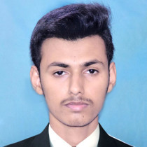 Talha bin Shuja's avatar