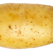 Potato Wizard's avatar