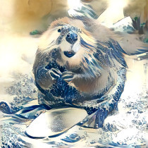Paul the beaver's avatar