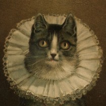 Fancy Cat's avatar