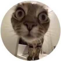 Phyl Mabawls's avatar
