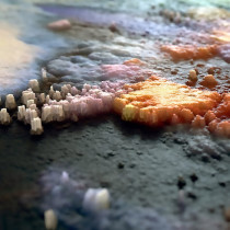 Felipe S.s. (Treze)'s avatar