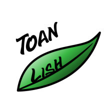 Toan Lish's avatar