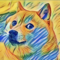 Dog's avatar