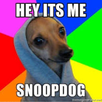 SnoopDogyLog's avatar