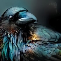 Raven's avatar